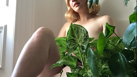 Header of airplantangel