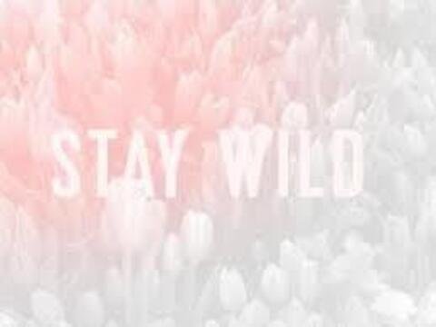 Header of alibear0560