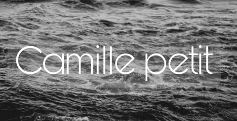 Header of camille_petit