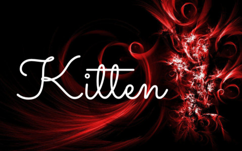 Header of daddyskitten54