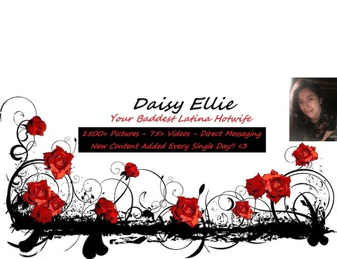 Header of daisyandjaggz