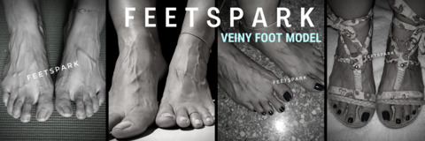 Header of feetspark