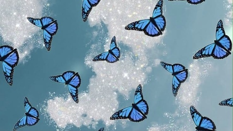 Header of g_butterfly