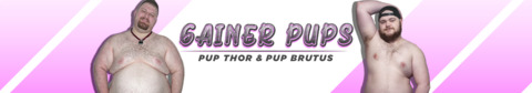 Header of gainerpups