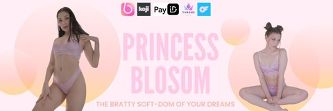 Header of ice_pr1ncess