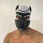 k9kruzeratl OnlyFans Leaked Photos and Videos 

 profile picture