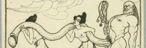 Header of kaptainkamasutra