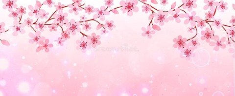 Header of kawaiinami