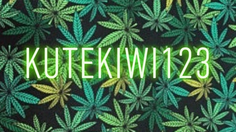 Header of kutekiwi123