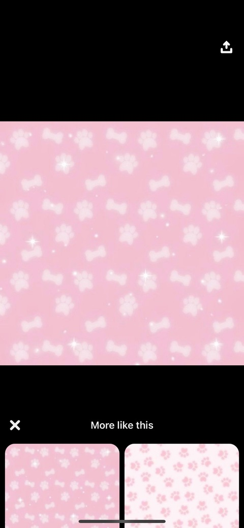 Header of littlexpaws