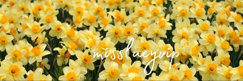 Header of misslucyvip