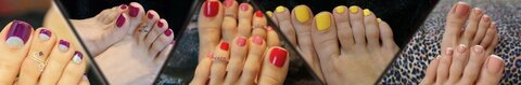 Header of msprettyfeet