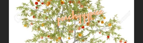 Header of peachyyypiee