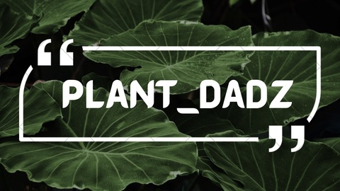 Header of plant_dadz