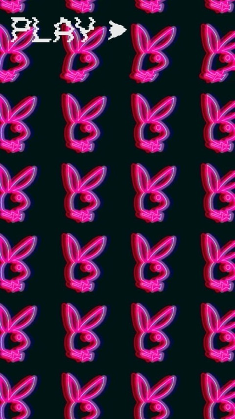 Header of playboybunbun