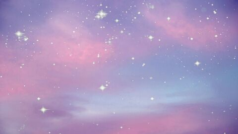 Header of prince-puppy