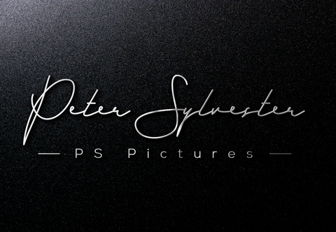 Header of pspicsllc