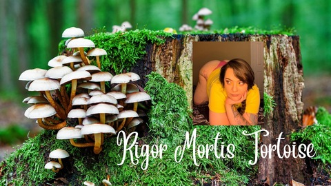 Header of rigor_mortis_tortoise