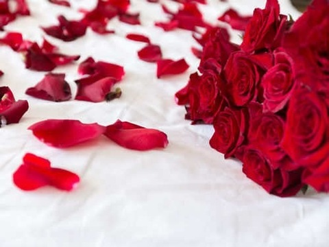 Header of roseadventures