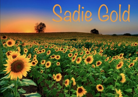 Header of sadiegold