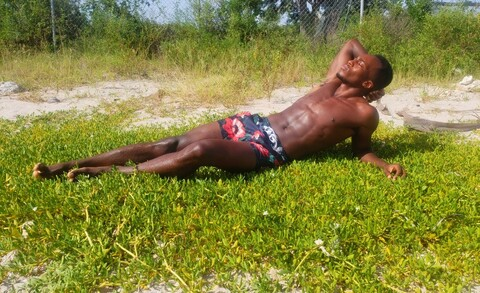 Header of st.lucianstallion