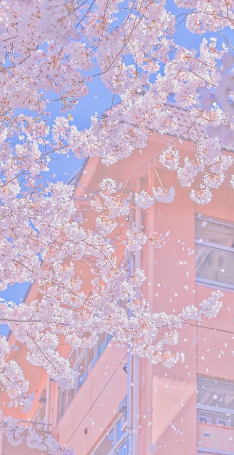 Header of sweetspicelulu