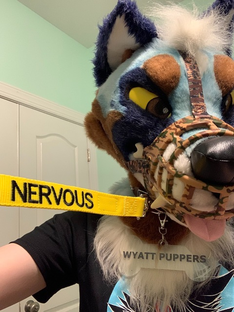 Header of wyattpuppers