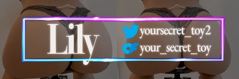 Header of your_secret_toy