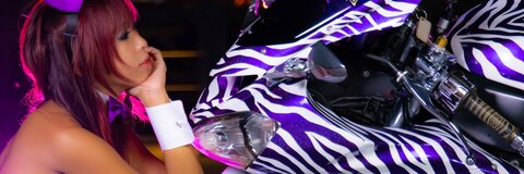 Header of zebra_zx10r